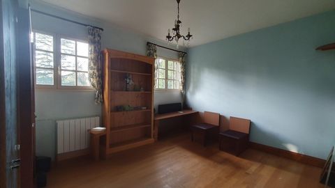 photo no. 17