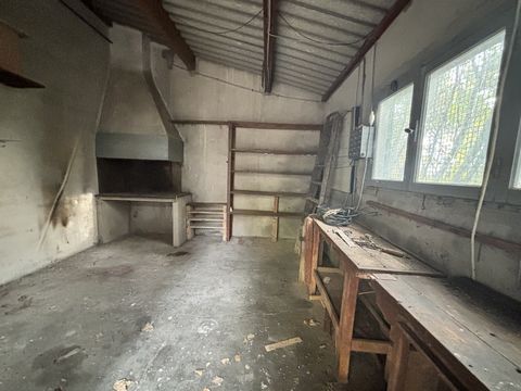 photo no. 5