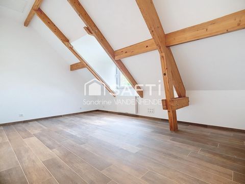photo no. 14