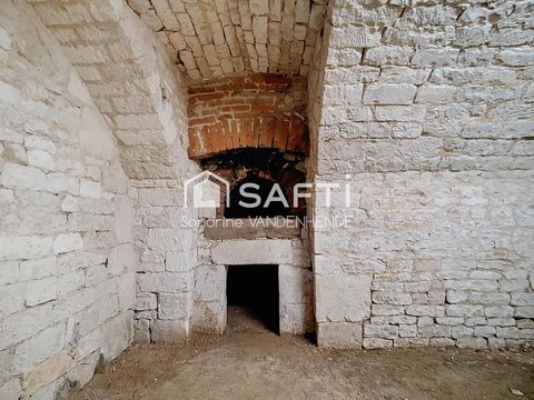photo no. 17