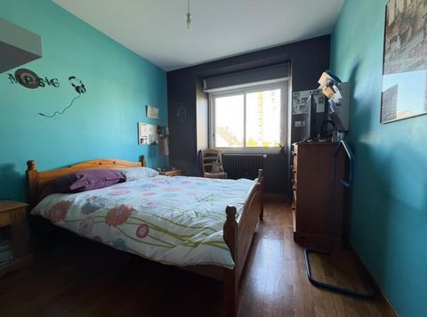 photo no. 12