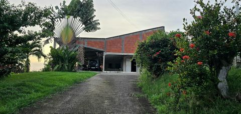 photo no. 2