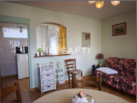photo no. 11