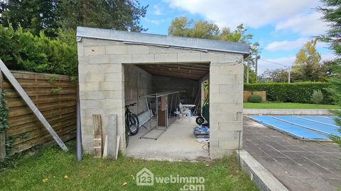 photo no. 12