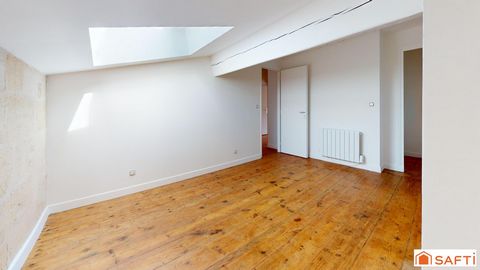 photo no. 4