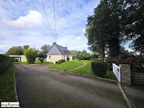 photo no. 10