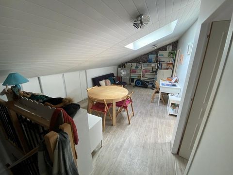 photo no. 5