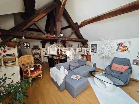 photo no. 2