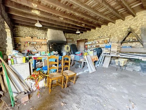 photo no. 8