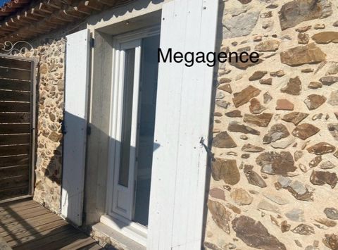 photo no. 4
