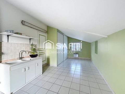 photo no. 13