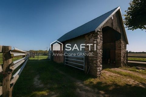 photo no. 13