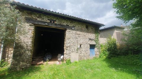 photo no. 10