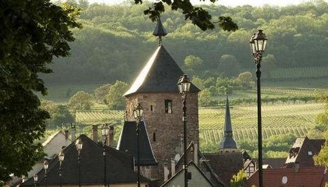 Dans la verdure entourée d'arbres