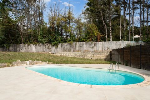 photo no. 14