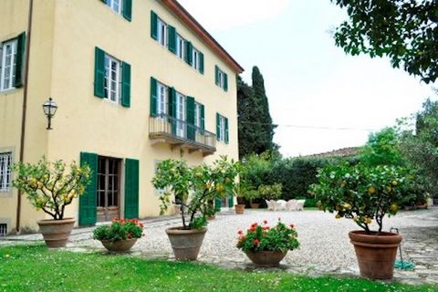 8 - Bedroom Period Villa situated in the hills around Lucca, in the area known for its beautiful period homes with views over the surrounding olive groves and vineyard. The villa was recently restored by maintaining its original features. On the grou...