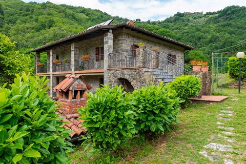 Score on the fun-filled leisurely moments of life at this place. Located in Fosciandora, this farmhouse has a bedroom and a living cum dining room which can accommodate 4 people. Take deep laps into the Swimming Pool and feel the rush of adrenaline w...