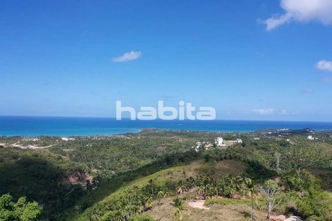 Ocean View hilly land in Las Terrenas, staerting by 2500 m2, at only 60 us, dominating kilometers of coast line with the breathtaking atlantic view. Land is very good to develop villas or condos.