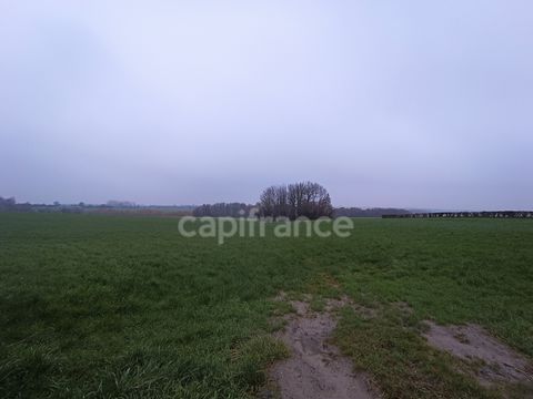 Dpt Pas de Calais (62), à vendre DOHEM terrain