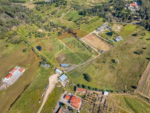 Rustic land located on the borders of the parish of Azambuja with the parish of Vale do Paraíso. This rustic plot of land with a single plot of about 30,000m², contains a small cluster of trees (eucalyptus), with the rest of the plot being flat and a...