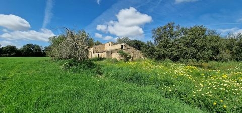Rustic property located on the property called Son Binimelis or Son Alegre, in the Manacor district, with a farmhouse and attached dependencies, which measures 19 quartered three quarters and eight destres, equivalent to 140,444 square meters. It has...
