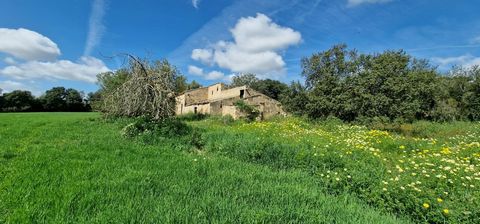 Rustiek onroerend goed op het terrein genaamd Son Binimelis of Son Alegre in de wijk Manacor met een boerderij en aangrenzende bijgebouwen van 19 kwartalen, driekwart en acht destres, wat overeenkomt met 140.444 vierkante meter. Het heeft een recht v...