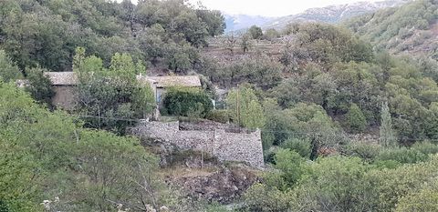 *In the heart of nature in the Ardèche mountains *On the edge of a small typical Ardèche hamlet of 4 houses *At the end of a dead end, with a dominant view of the Ardèche mountains with a southern exposure *10 minutes by car or on foot (via paths) fr...