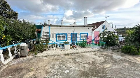 Refúgio na natureza. A incrível casa modular em Sintra que ficou