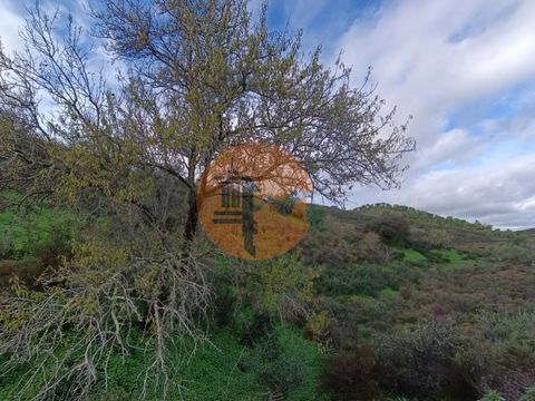 Grundstück mit 59.520 m2, gelegen in Botelhas, in der Gemeinde Castro Marim. Liegt in der Nähe des Caroucha-Staudamms. Freier Blick auf die Serra Algarvia. Land mit einigen Bäumen. Zufahrt über geteerte Straße. Wasser, Strom, öffentliche Beleuchtung,...