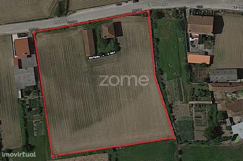Property ID: ZMPT536116 Land with PIP approved for 6 villas in Vila do Conde Porto!!! This land is in the parish of Guilhabreu in Vila do Conde Central area 10 minutes from the beach 10 minutes from Sá Carneiro airport Very well located. 3 reasons to...