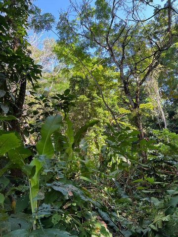Pure nature close to the beach and everything what you need, what more can you expect! This untouched 5.5 ha Farm has the perfect location in a very quiet neighborhood just 7 minutes drive to one of the most beautiful National Parks in Cahuita. Super...