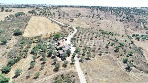 Amazing traditional house from Alentejo. Located near Almodôvar, in the heart of Alentejo and close to the city of Beja, with a total area of 6.9 hectares and the land is practically all flat. There is a house but is in need of work. Installed electr...