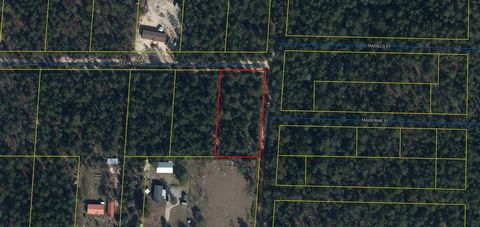 This 1 acre dry parcel is perfect for a weekend getaway or a primary residence. Located in the growing community of Mossy Head. Convenient to I10 and Hwy331. Power is available on Duchess Drive. Septic and well is required. Survey available