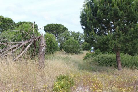 Localizado próximo à Estrada Nacional 4, este terreno tem uma localização privilegiada, pois situa-se junto à entrada da auto-estrada A13 e relativamente perto - 7km - da localidade de Pegões. Esta localização permite rapidez e facilidade nos acessos...