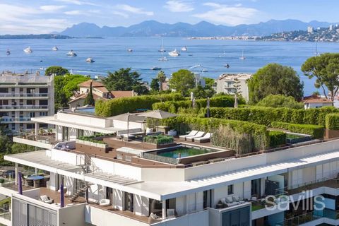 Situé dans un luxueux complexe Parc du Cap, un magnifique penthouse doté de spacieuses terrasses, dont une avec une piscine à débordement et une vue panoramique sur la mer et les Alpes. D'une surface habitable de 182.91 m², appartement comprend un gr...