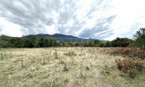 SUPRIMMO agency: ... Spacious plot of agricultural land of 6701 sq.m., located in the Shipotsko area. The property is located 1 km from the ski lift of the mountain resort of Bansko. The property is a meadow with a wonderful panoramic view of the Pir...