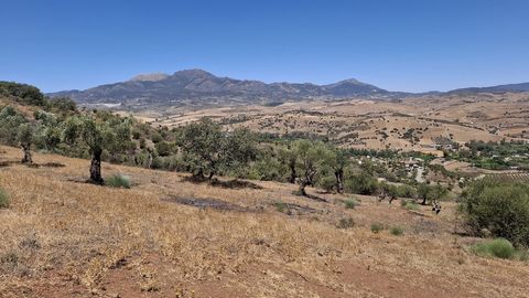 Plot for sale in , Coin. Regarding property dimensions, it has 25,000 m2 plot. Has the following facilities mountainside, country view, panoramic view and close to town. Close To Town Country Panoramic IBI Fees € 0 per year Basura Tax Fees € 0 per ye...