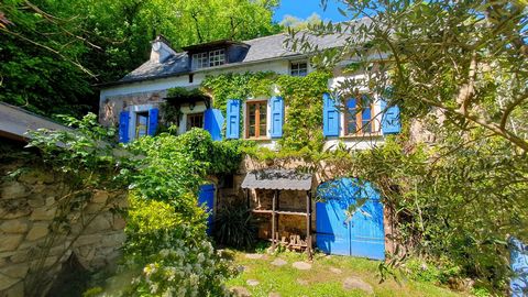 This property is located in a quiet hamlet in the town of Najac. It is made up of an old stone house and a separate gîte on pleasant grounds, with trees and terraces. This property has retained its old charm while being habitable. Facing south, it be...