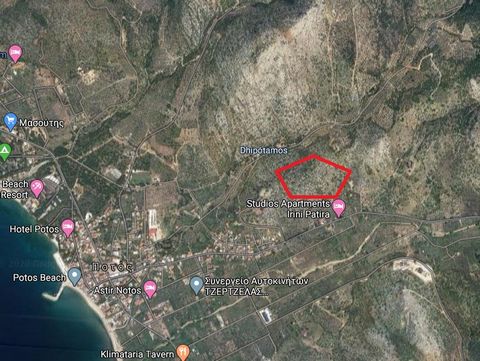 THASSOS, Potos. Zu verkaufen ein Grundstück von 45.200 qm, mit Oliven, nicht im Plan, flach, Abdeckung Koeffizient. 0.1, 5 Seiten, Fassade 130 m., bebaubar. Der Blick von der Parzelle ist riesig und panoram. Es blickt auf das Meer, die Berge und das ...