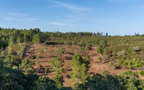 Ausgezeichnetes ländliches Anwesen in Alfambras, mit einer Fläche von 53623 m2 Land und einem Gebäude mit 127 m2. Dieses Anwesen wird von einem produktiven Tal voller einheimischer Vegetation durchquert, mit der Besonderheit, dass sich auf der Südsei...