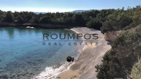 A vendre Terrain de 15 000 m² à Ermioni. avec une vue fantastique à seulement 100 mètres de la mer. Ce magnifique terrain de 15.000 m² est situé dans l’une des zones les plus privilégiées d’Ermioni, offrant une vue unique sur la mer et le paysage env...