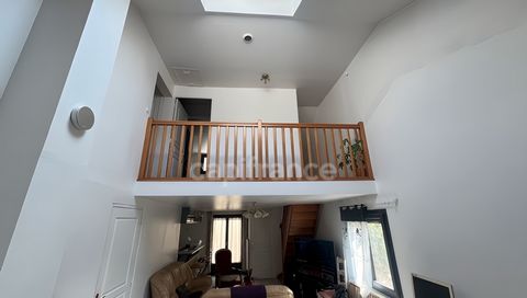 photo no. 2
