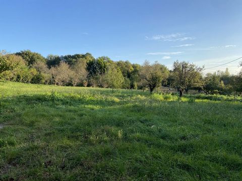 Large divisible plot of over 3000 m². Possibility of building 2 houses. Close to all shops, but also schools, you will fall under the charm of this plot with a clear view embellished with a few fruit trees and a small outbuilding that can be used as ...