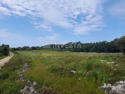 Rovinj, landbouwgrond 21.206 m² met geregistreerde opslag van 14 m² Beschrijving: In de buurt van Rovinj is landbouwgrond van 21.206 m² met een geregistreerde opslag van 14 m² te koop. Er is een goedgekeurd plan en besluit van de gemeente Rovinj dat ...