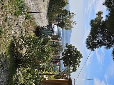 photo no. 8