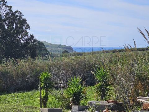 Single storey house and winery on a plot of 1810m2, next to Praia da Assenta, in Mafra. Building consisting of a winery with LU and houses prior to 1951. Another storage building. There are also 2 ruins (without roof) adjacent to the winery, which se...