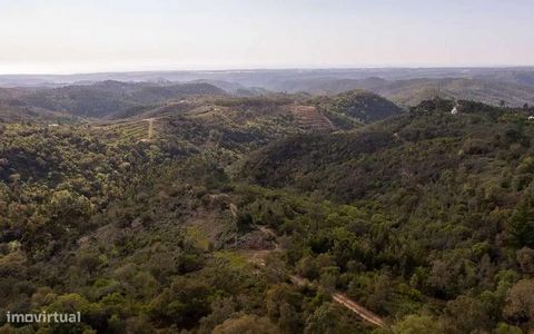 Small farm located in the parish of São Teotónio, with an area of land with 51250 m2 and a ruin to recover with 65 m2, there is the possibility of increasing the built area. The property has plenty of cork oaks and strawberry trees, and also borders ...