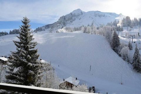 De residentie LE PLANAY is gelegen in het centrum van het resort Chinaillon, aan de voet van de winkels en op 150 meter van de openbare lift bij het VVV-kantoor om de skipistes te bereiken. Dit vakantieappartement op de 1e verdieping beschikt over ee...