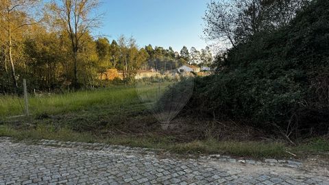 Terreno plano para venda com 2800 m2 localizado na freguesia Perosinho em Vila Nova de Gaia na Rua Agro a 1,5 km do Pingo Doce de Perosinho e a 4km do centro dos Carvalhos. Pedido de viabilidade em curso na Câmara de Gaia para apurar viabilidades do ...