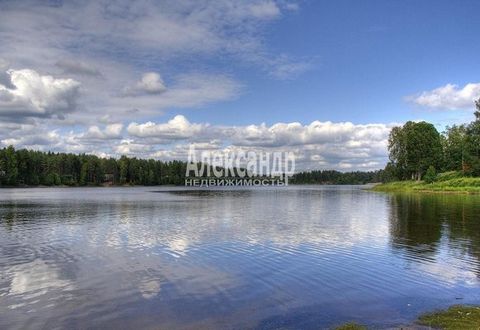 Located in Волочаевка.